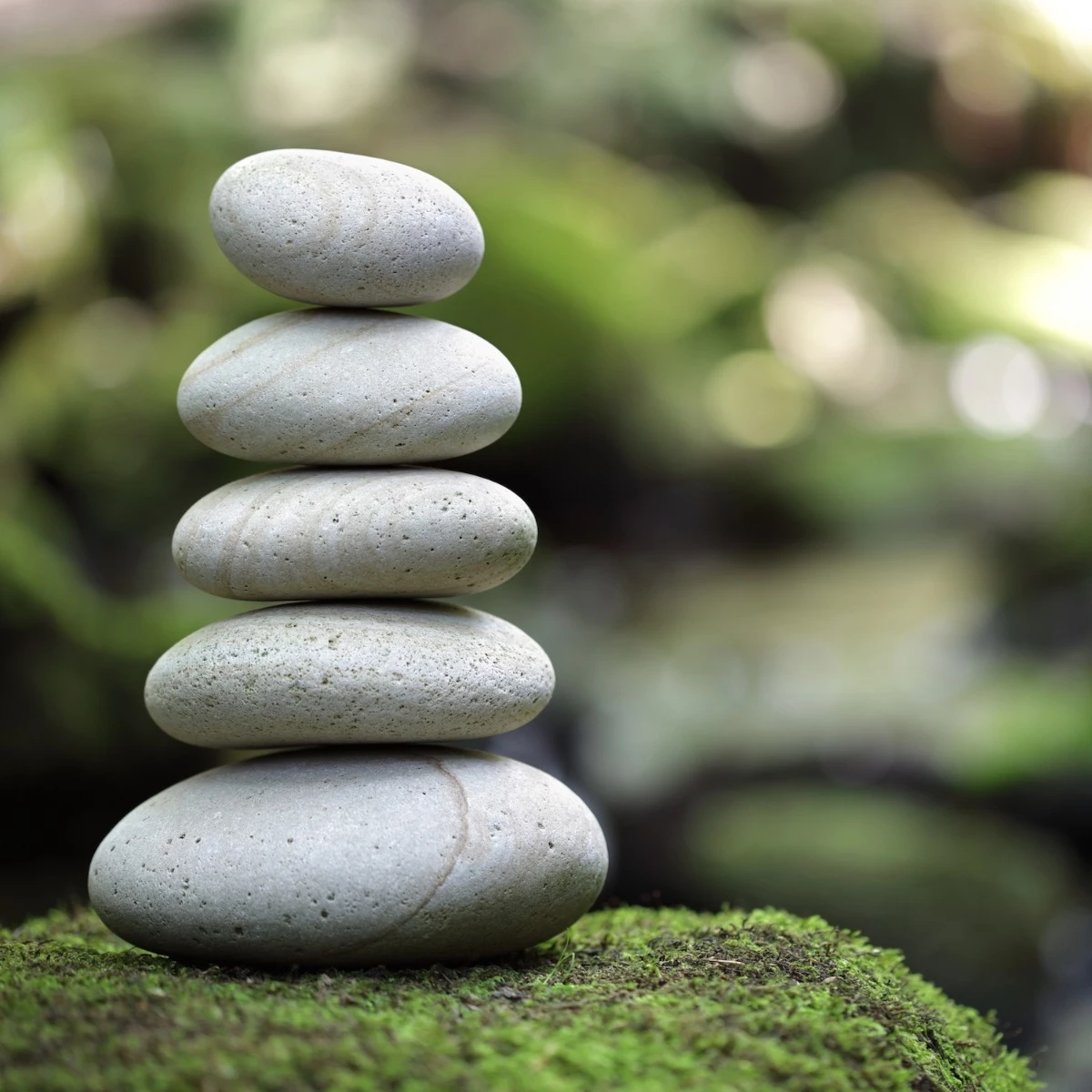 Candle Warmers Zen Garden 2.5 oz Wax Melts - Image 3