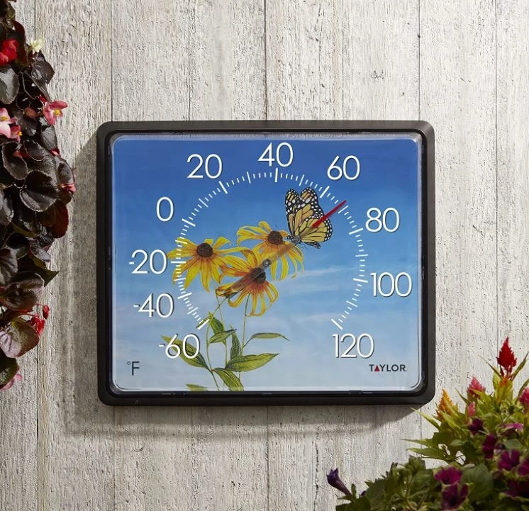 Taylor 12" x 14" Dial Thermometer, Butterfly - Image 5