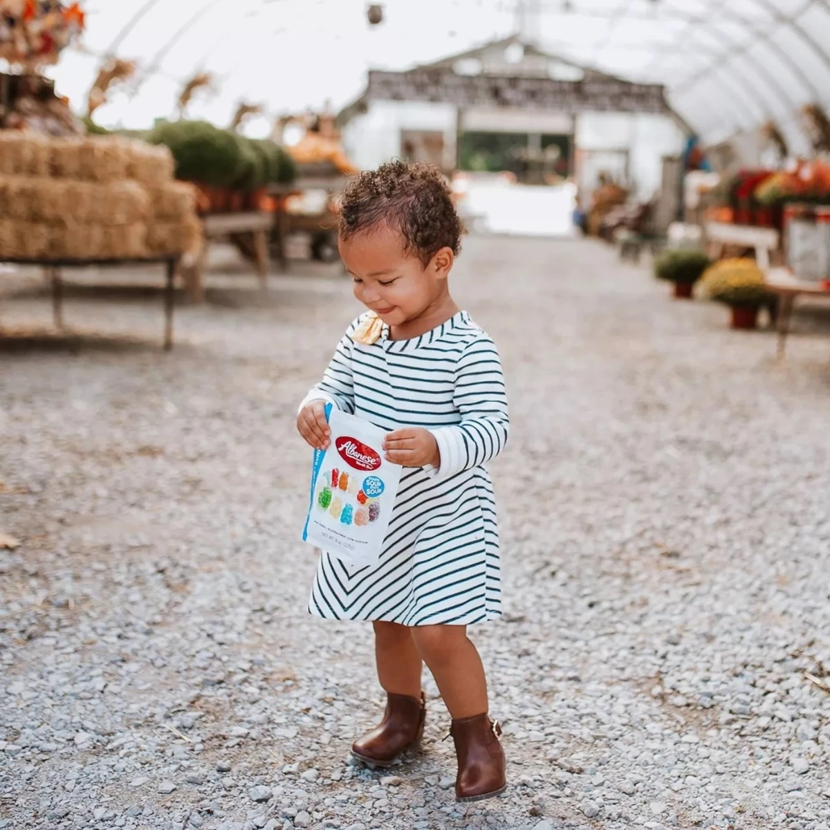 Albanese World's Best Sour 12 Flavor Gummi Bears - 8oz - Image 3